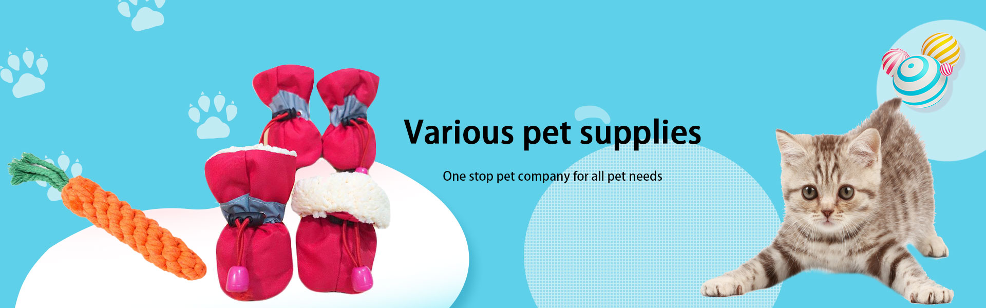 Various pet supplies