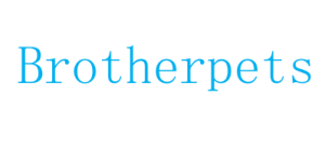 2026 New Year's Day Holiday