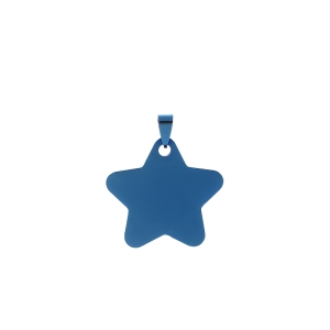 Star shaped pet tag