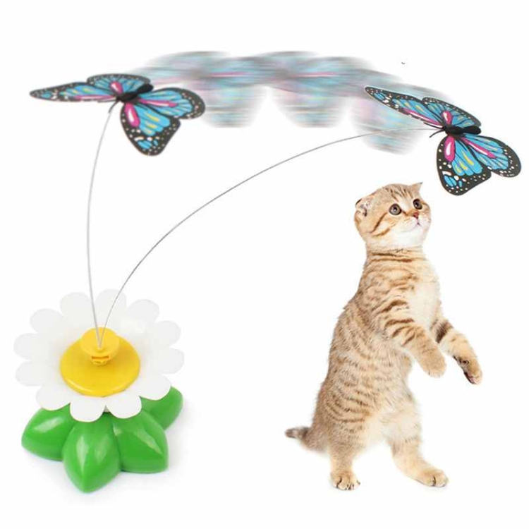 Electric Butterfly and Bird Funny Cat Toy