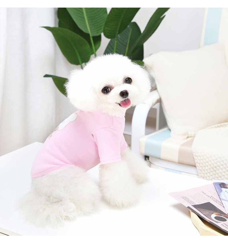 Winter yellow pink dog clothes with bear pattern