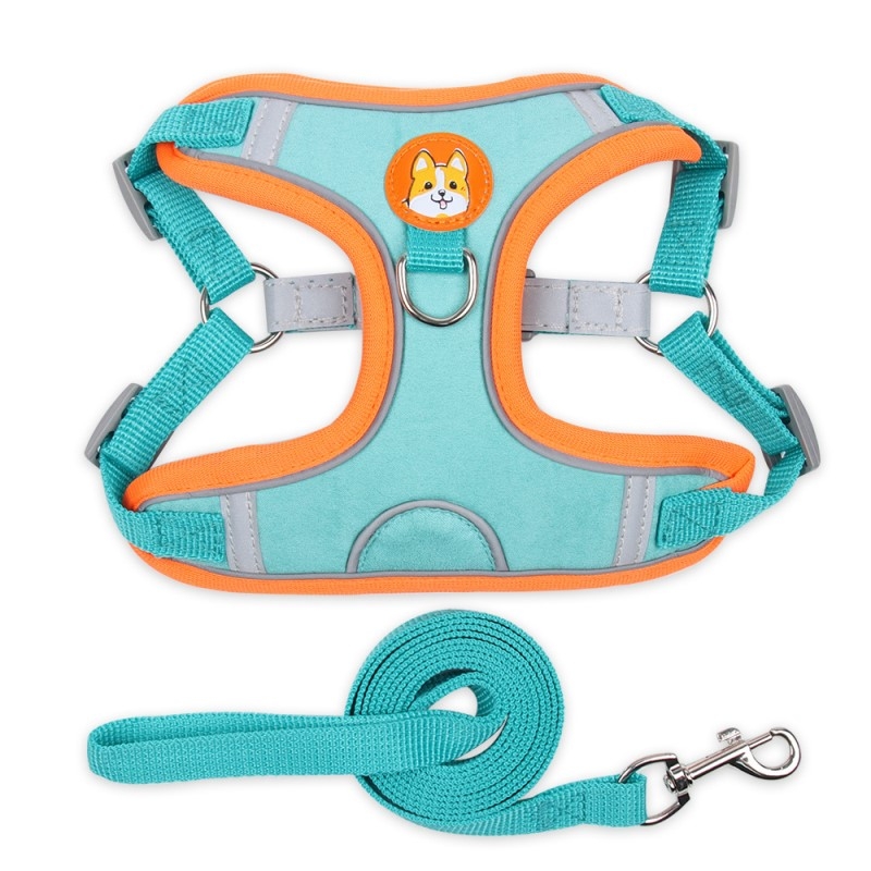 Chamois harness with leash