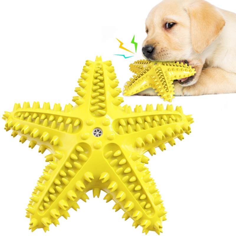 Starfish shape dog toy