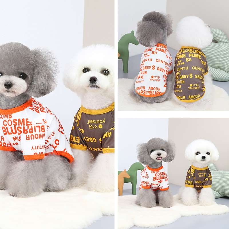 Summer dog clothes with English words pattern