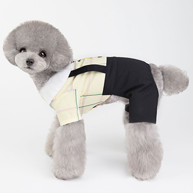 Summer school uniform for dog