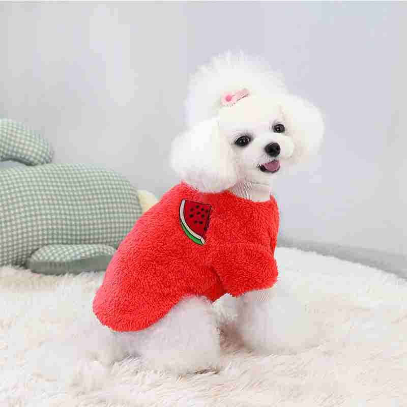 Winter green orange pink red dog clothes with fruit pattern