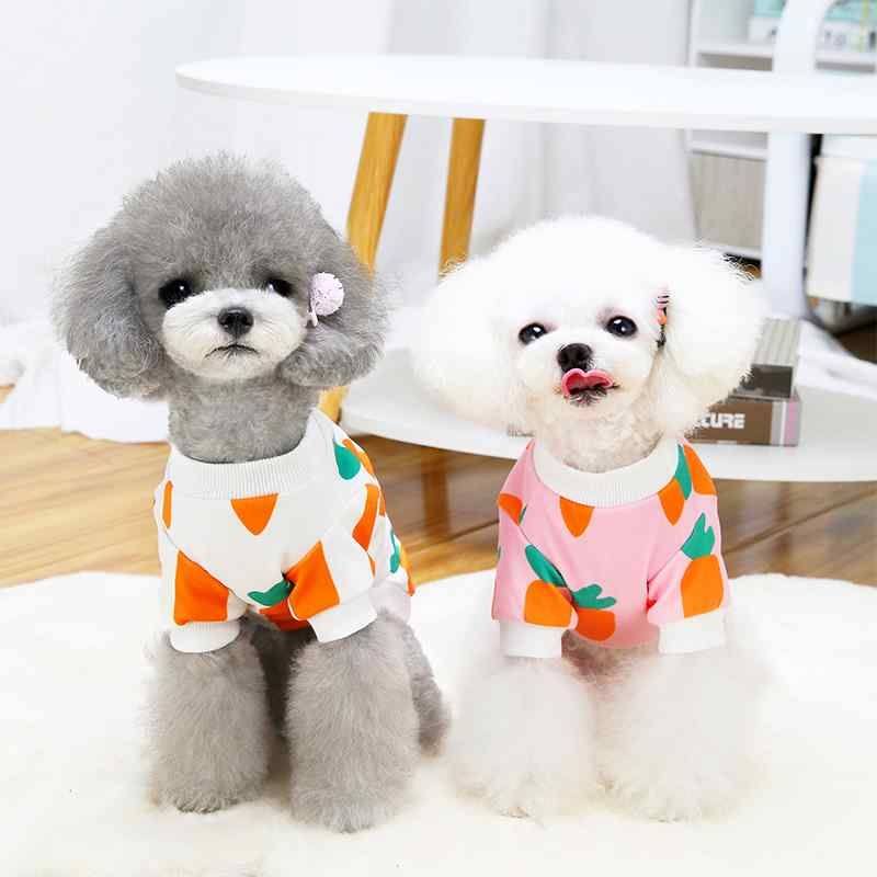 Winter white pink dog clothes with carrot pattern