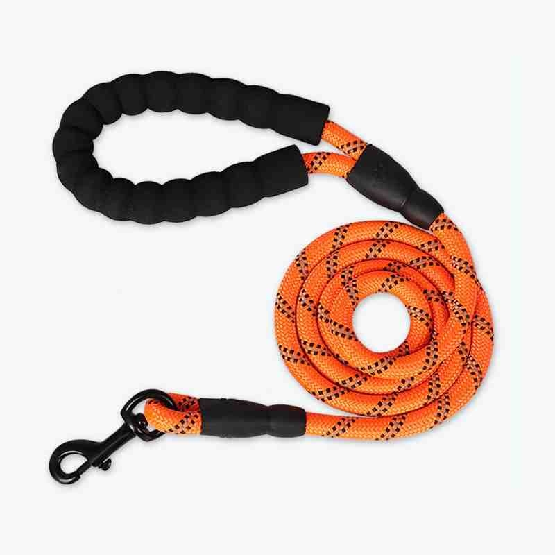 Different kinds of colour and sizes Dog Leash