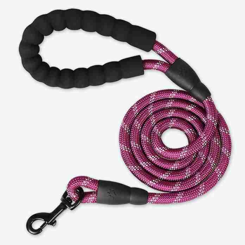 Different kinds of colour and sizes Dog Leash