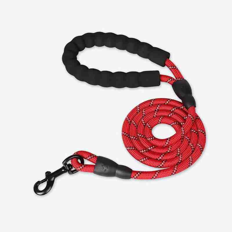 Different kinds of colour and sizes Dog Leash
