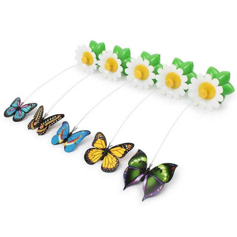 Electric Butterfly and Bird Funny Cat Toy