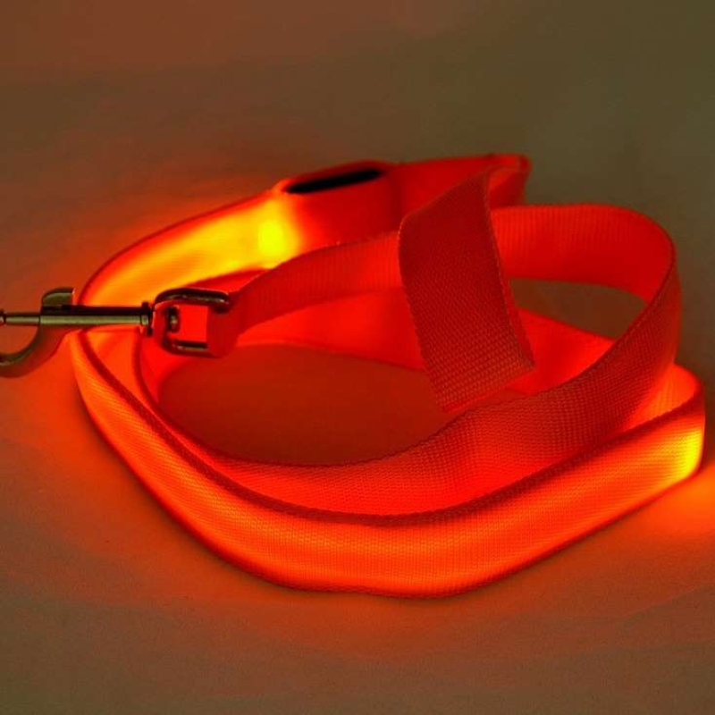 Glowing dog leash