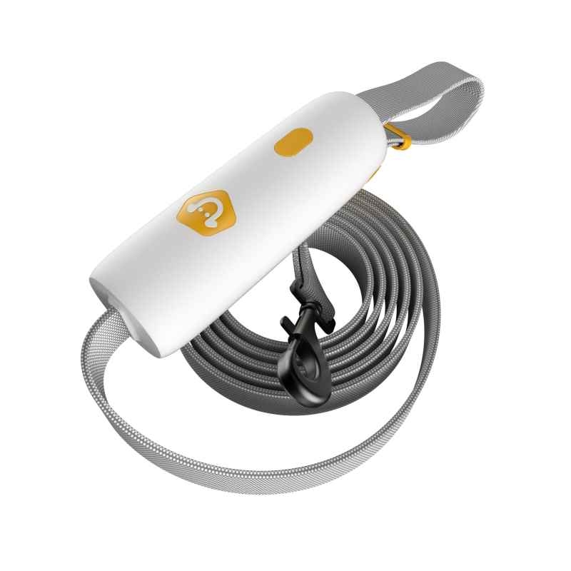 White Yellow dog leash for small and medium dog