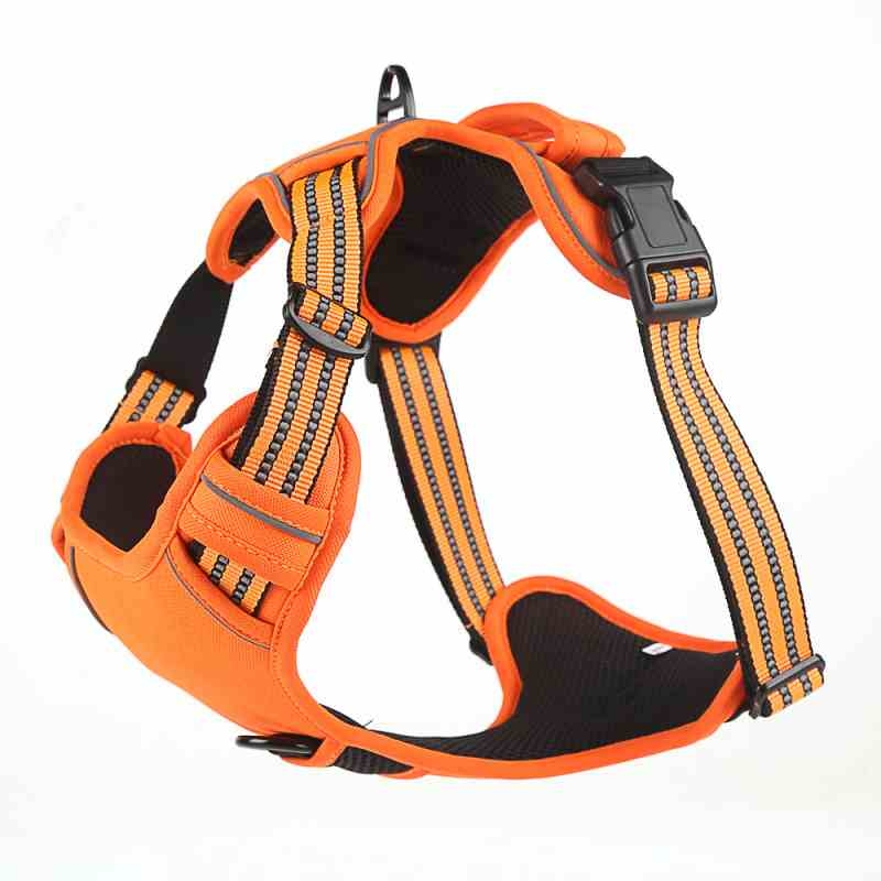 Polyester black red orange pet harness