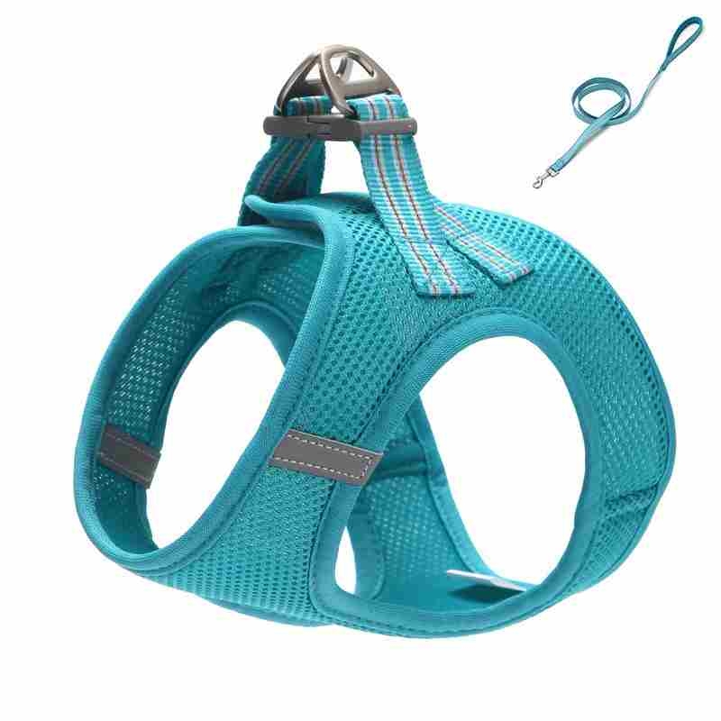 Sandwich Mesh different solid colour harness with leash