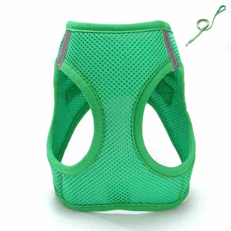 Sandwich Mesh different solid colour harness with leash