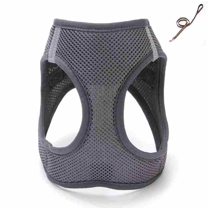 Sandwich Mesh different solid colour harness with leash