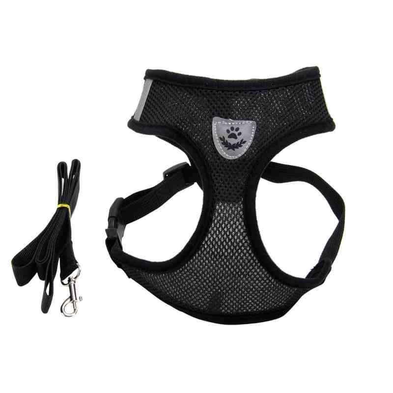 Sandwich Mesh Reflective Strip harness and leash set