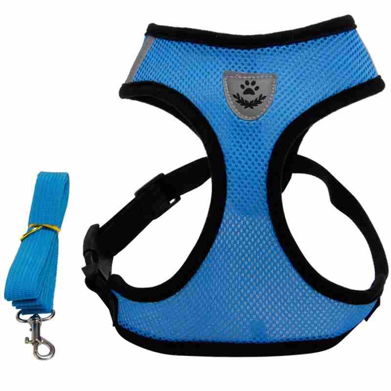 Sandwich Mesh Reflective Strip harness and leash set