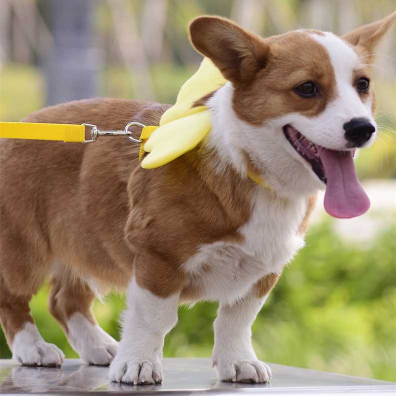 I-shaped nylon angel wings harness with leash