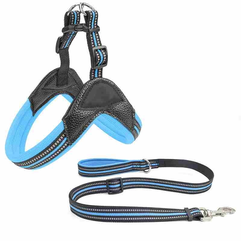 PU blue green orange black pet harness with leash