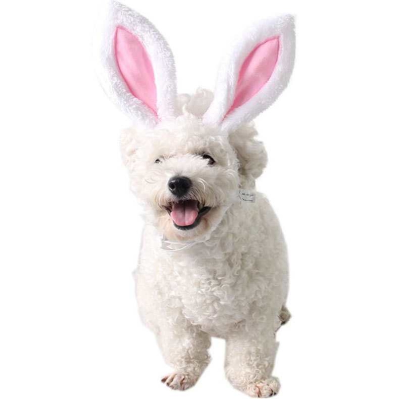 Bunny Ear Pet Headwear