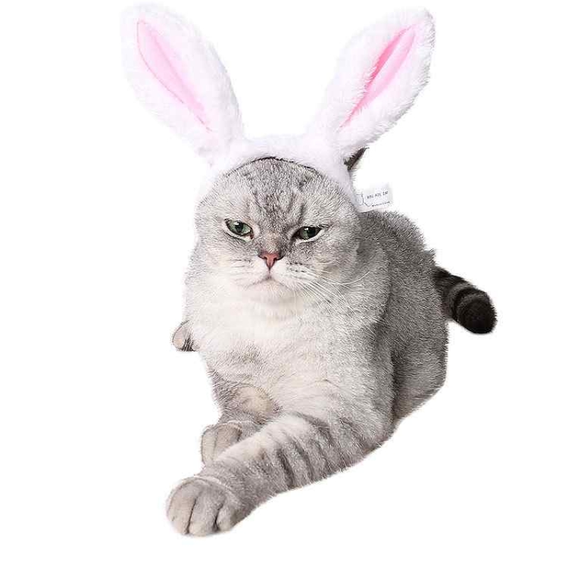 Bunny Ear Pet Headwear