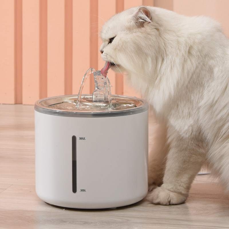 2.6L pet water dispenser