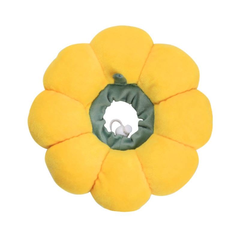 Pumpkin Shape Pet Elizabeth Circle