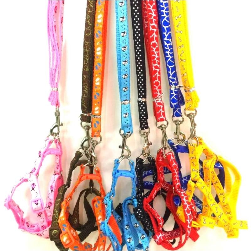 Wholesale pet leash set