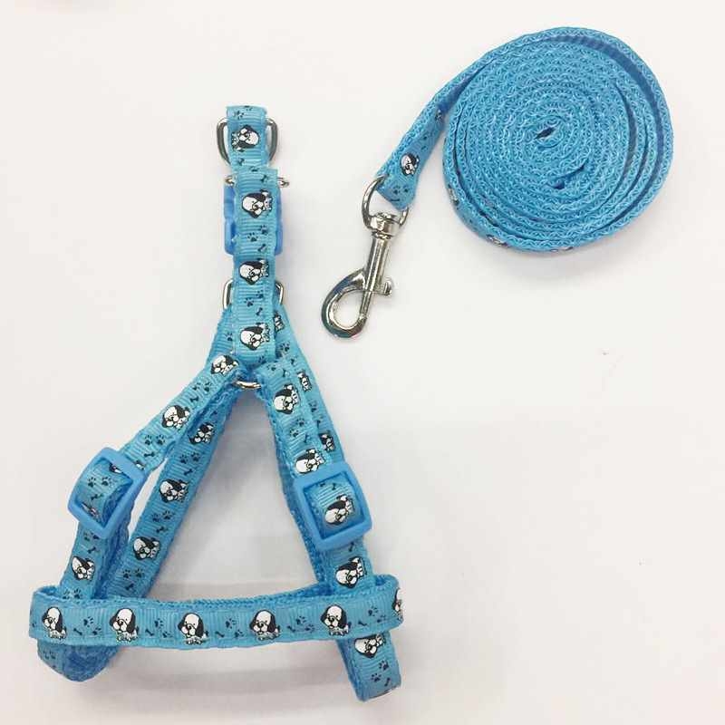 Wholesale pet leash set