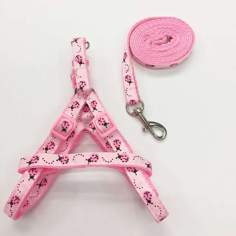 Wholesale pet leash set