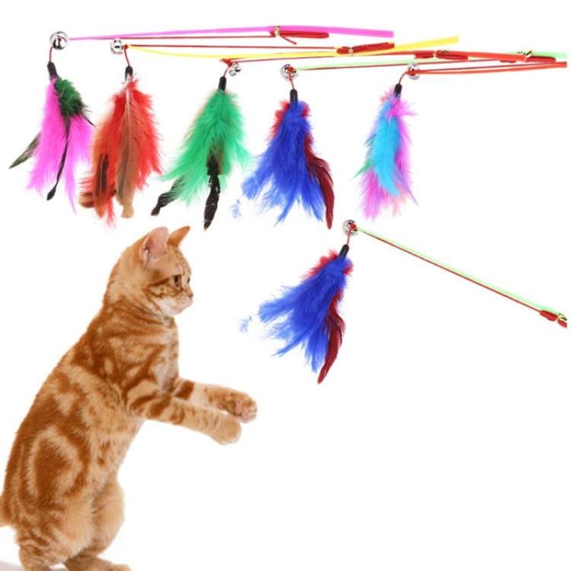 Fishing rod feather funny cat stick