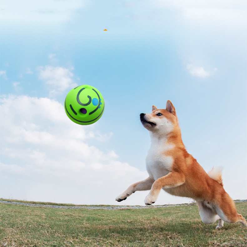 Tennis-shaped dog training ball that makes noise