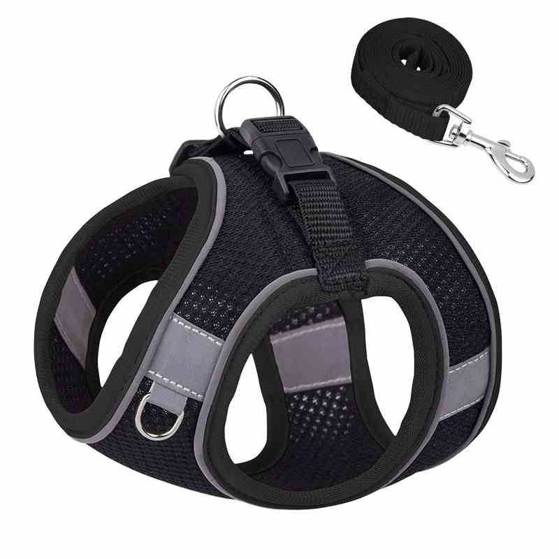 Breathable pet harness and leash set in various sizes