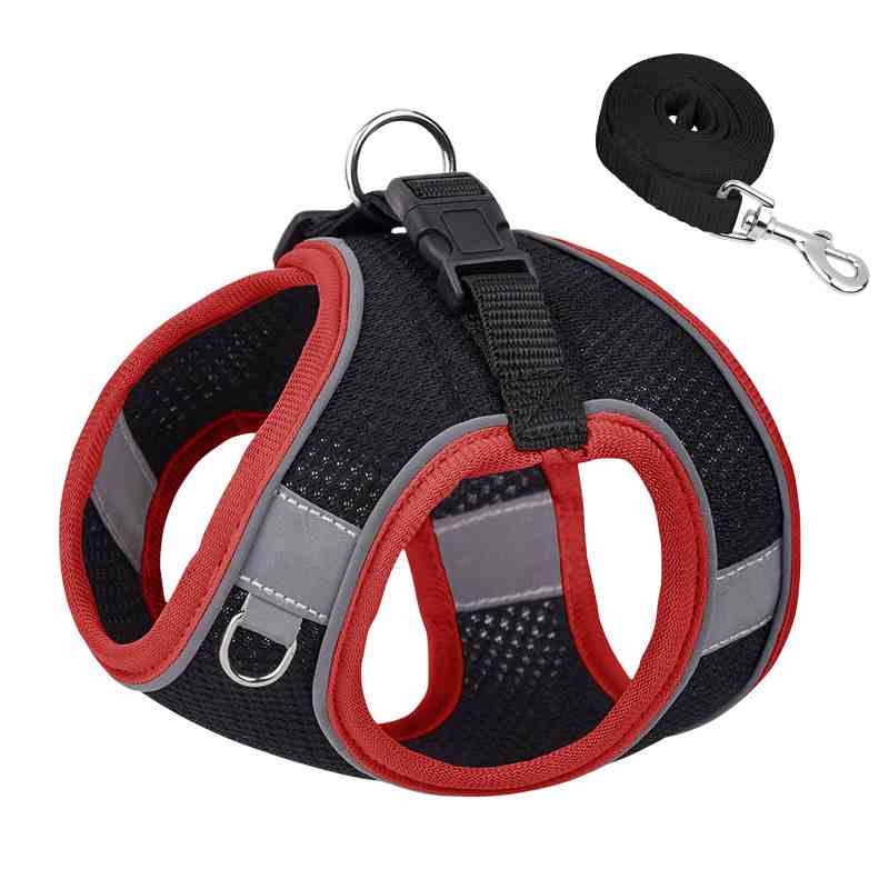 Breathable pet harness and leash set in various sizes