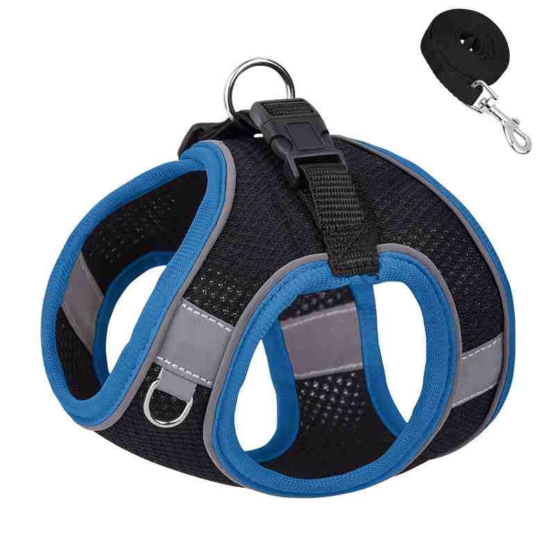 Breathable pet harness and leash set in various sizes
