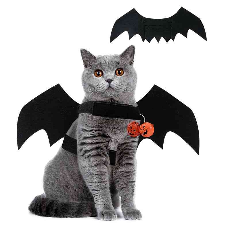 Halloween pet costumes