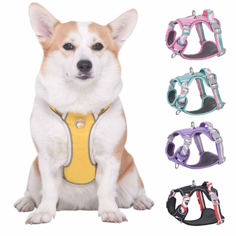 Reflective medium and large printed pet harness